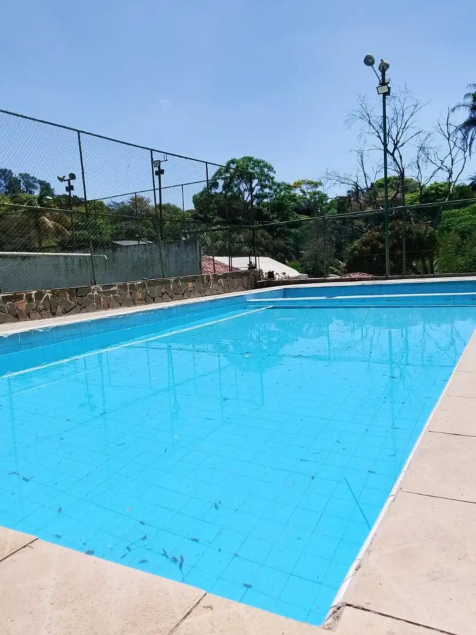 Piscina com borda de alvenaria, cercada por gramado e árvores.