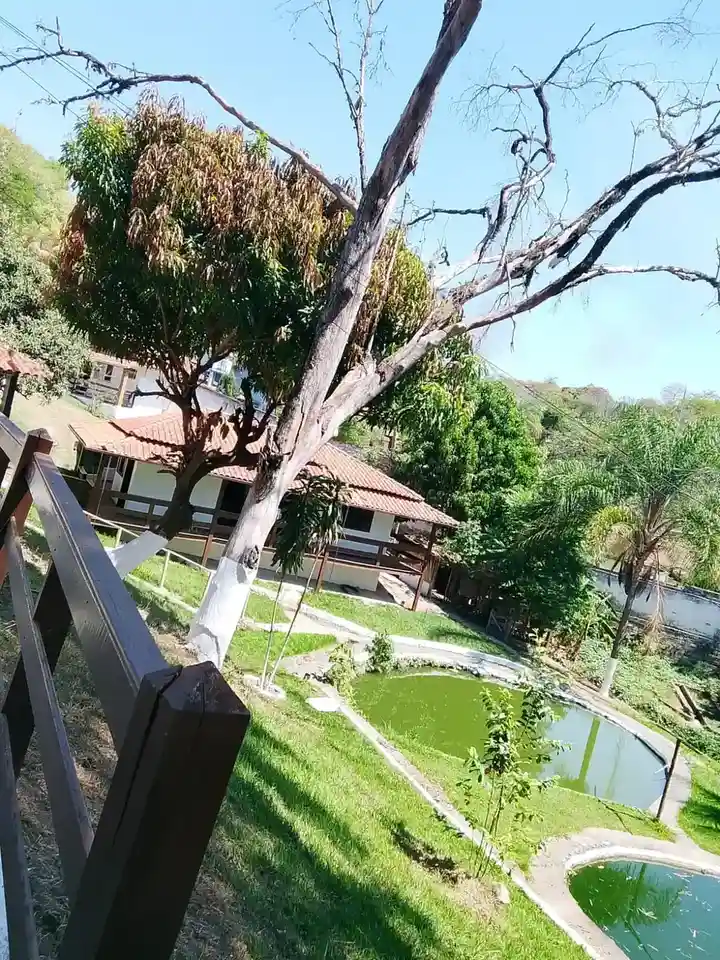 Vista do gramado com árvores e construções da unidade ao fundo.